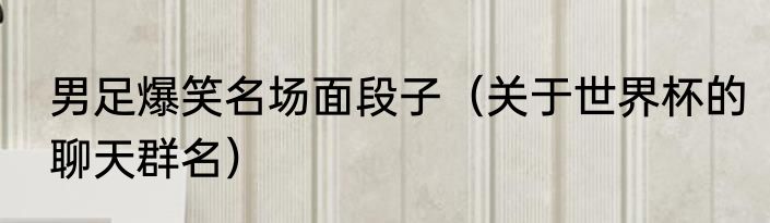 男足爆笑名场面段子（关于世界杯的聊天群名）