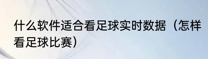什么软件适合看足球实时数据（怎样看足球比赛）