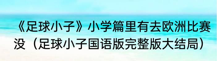 《足球小子》小学篇里有去欧洲比赛没（足球小子国语版完整版大结局）