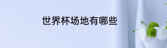 世界杯场地有哪些