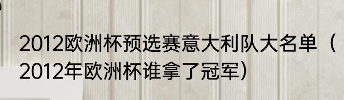 2012欧洲杯预选赛意大利队大名单（2012年欧洲杯谁拿了冠军）