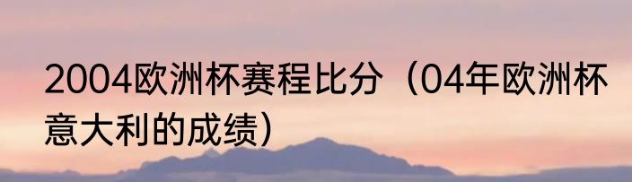 2004欧洲杯赛程比分（04年欧洲杯意大利的成绩）