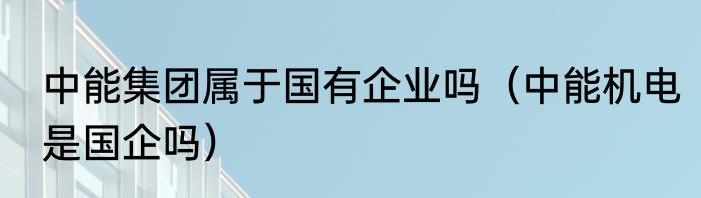 中能集团属于国有企业吗（中能机电是国企吗）