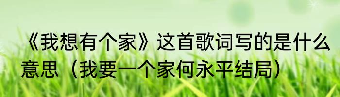 《我想有个家》这首歌词写的是什么意思（我要一个家何永平结局）