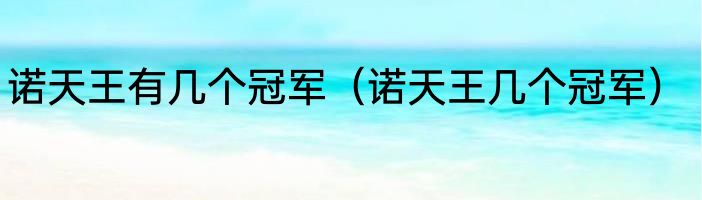 诺天王有几个冠军（诺天王几个冠军）