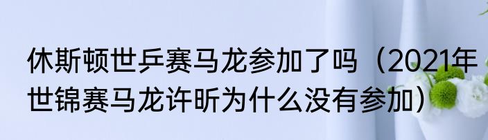 休斯顿世乒赛马龙参加了吗（2021年世锦赛马龙许昕为什么没有参加）