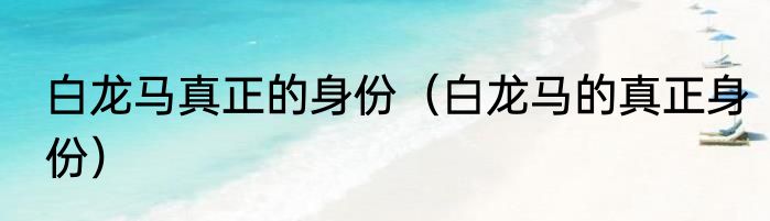 白龙马真正的身份（白龙马的真正身份）