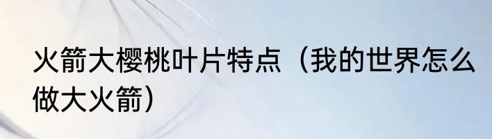 火箭大樱桃叶片特点（我的世界怎么做大火箭）