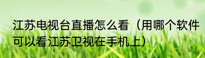 江苏电视台直播怎么看（用哪个软件可以看江苏卫视在手机上）