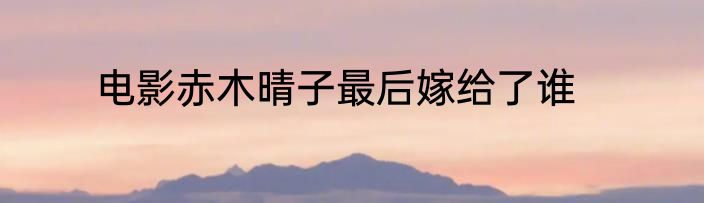 电影赤木晴子最后嫁给了谁