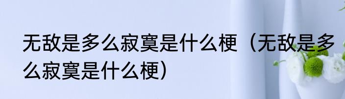 无敌是多么寂寞是什么梗（无敌是多么寂寞是什么梗）