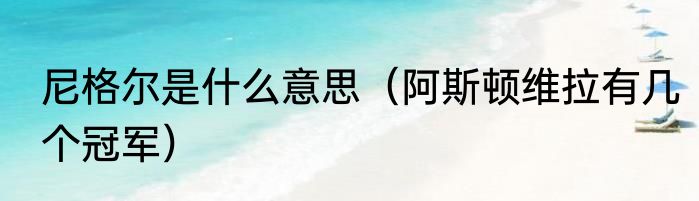 尼格尔是什么意思（阿斯顿维拉有几个冠军）