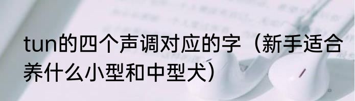 tun的四个声调对应的字（新手适合养什么小型和中型犬）