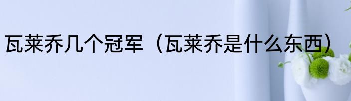 瓦莱乔几个冠军（瓦莱乔是什么东西）