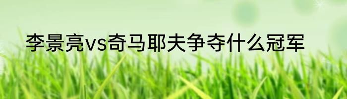 李景亮vs奇马耶夫争夺什么冠军