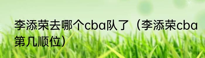 李添荣去哪个cba队了（李添荣cba第几顺位）