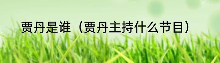 贾丹是谁（贾丹主持什么节目）