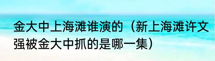 金大中上海滩谁演的（新上海滩许文强被金大中抓的是哪一集）