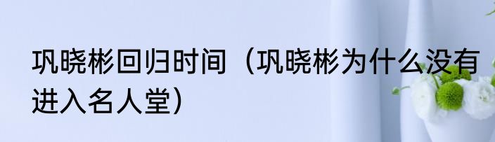 巩晓彬回归时间（巩晓彬为什么没有进入名人堂）