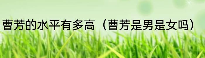 曹芳的水平有多高（曹芳是男是女吗）