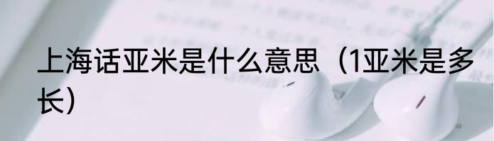 上海话亚米是什么意思（1亚米是多长）