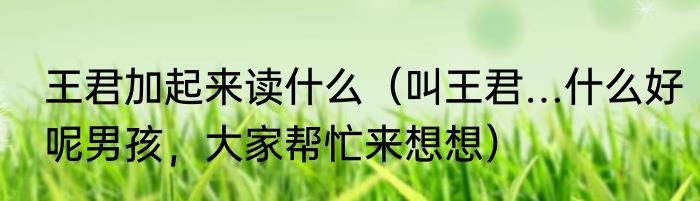 王君加起来读什么（叫王君…什么好呢男孩，大家帮忙来想想）