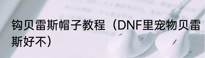 钩贝雷斯帽子教程（DNF里宠物贝雷斯好不）