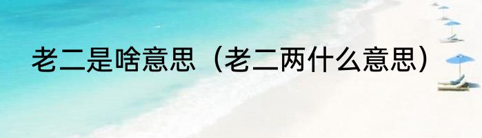 老二是啥意思（老二两什么意思）