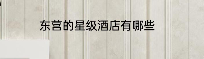 东营的星级酒店有哪些