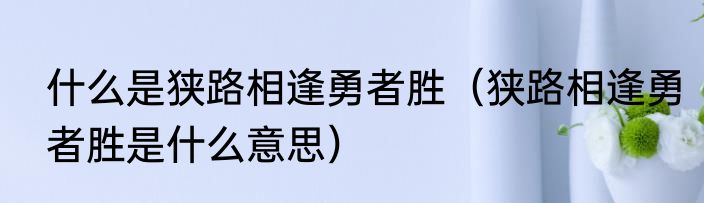 什么是狭路相逢勇者胜（狭路相逢勇者胜是什么意思）