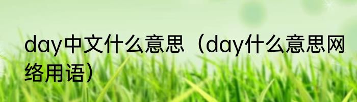 day中文什么意思（day什么意思网络用语）
