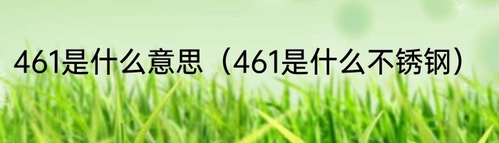 461是什么意思（461是什么不锈钢）