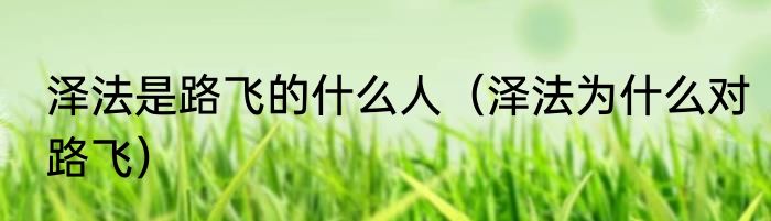 泽法是路飞的什么人（泽法为什么对路飞）