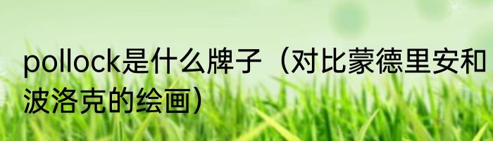 pollock是什么牌子（对比蒙德里安和波洛克的绘画）