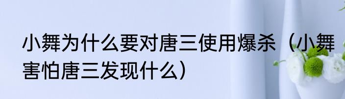 小舞为什么要对唐三使用爆杀（小舞害怕唐三发现什么）