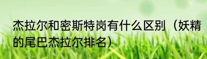 杰拉尔和密斯特岗有什么区别（妖精的尾巴杰拉尔排名）