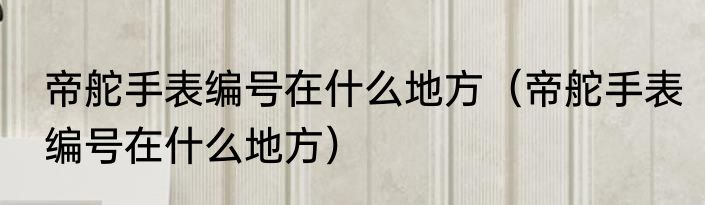 帝舵手表编号在什么地方（帝舵手表编号在什么地方）