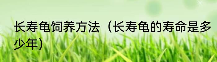 长寿龟饲养方法（长寿龟的寿命是多少年）