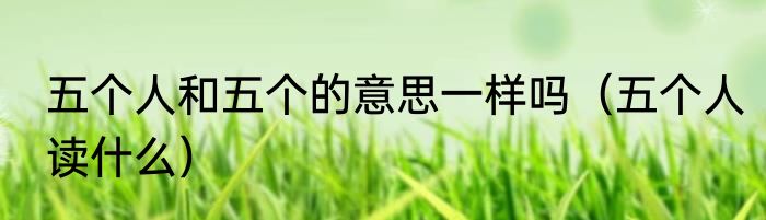 五个人和五个的意思一样吗（五个人读什么）