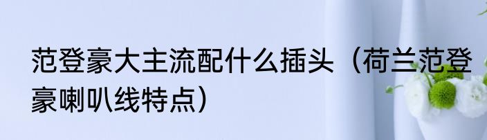 范登豪大主流配什么插头（荷兰范登豪喇叭线特点）