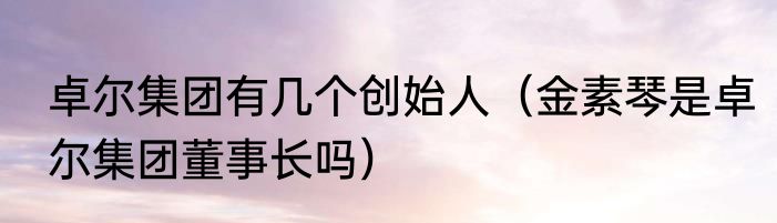 卓尔集团有几个创始人（金素琴是卓尔集团董事长吗）