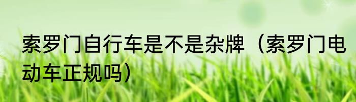 索罗门自行车是不是杂牌（索罗门电动车正规吗）