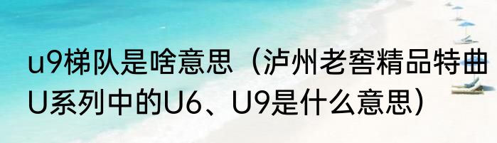 u9梯队是啥意思（泸州老窖精品特曲U系列中的U6、U9是什么意思）