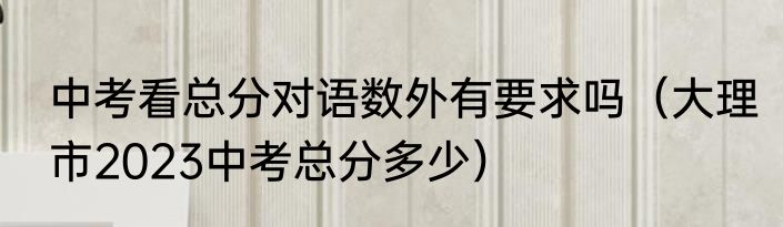 中考看总分对语数外有要求吗（大理市2023中考总分多少）