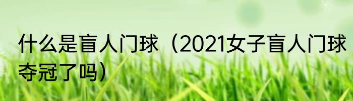 什么是盲人门球（2021女子盲人门球夺冠了吗）