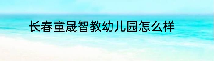 长春童晟智教幼儿园怎么样