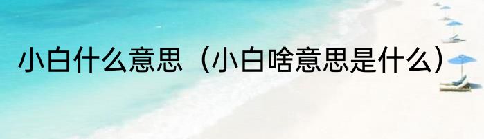 小白什么意思（小白啥意思是什么）