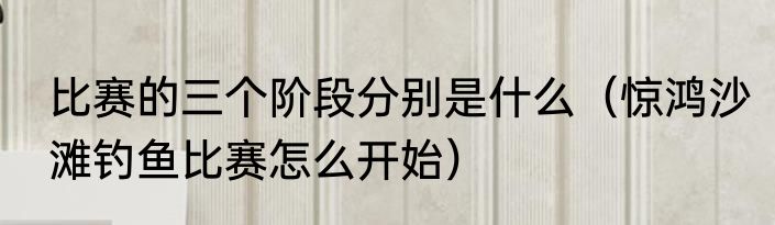 比赛的三个阶段分别是什么（惊鸿沙滩钓鱼比赛怎么开始）