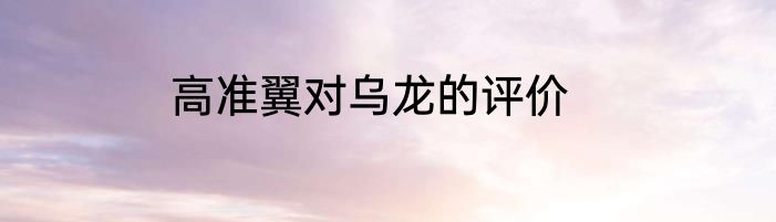 高准翼对乌龙的评价