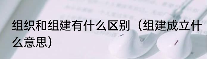 组织和组建有什么区别（组建成立什么意思）